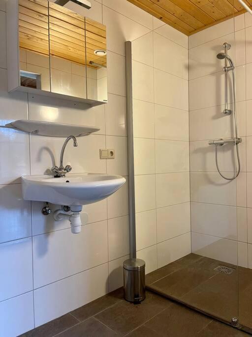 Unieke Houten Villa Met Sauna In Twente - 6P Den Ham Екстер'єр фото
