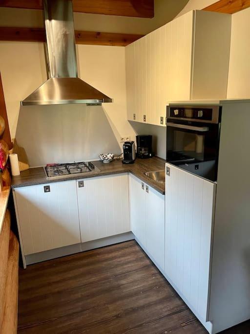 Unieke Houten Villa Met Sauna In Twente - 6P Den Ham Екстер'єр фото