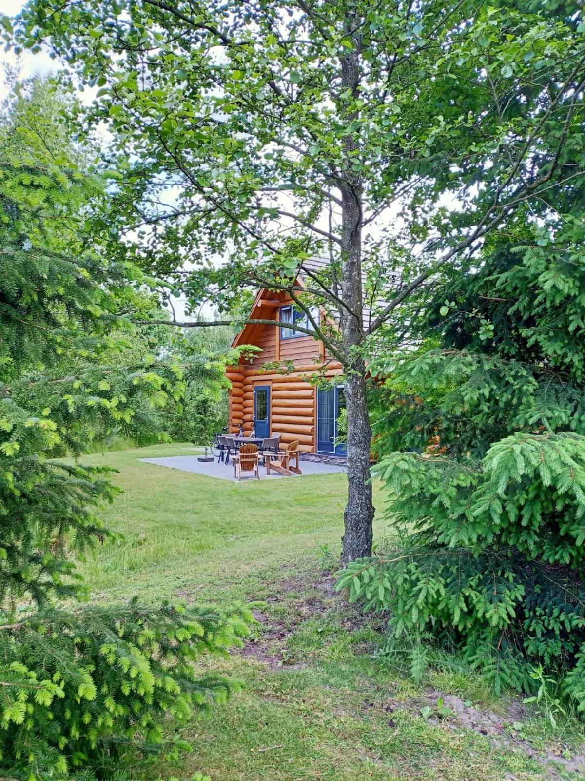 Unieke Houten Villa Met Sauna In Twente - 6P Den Ham Екстер'єр фото