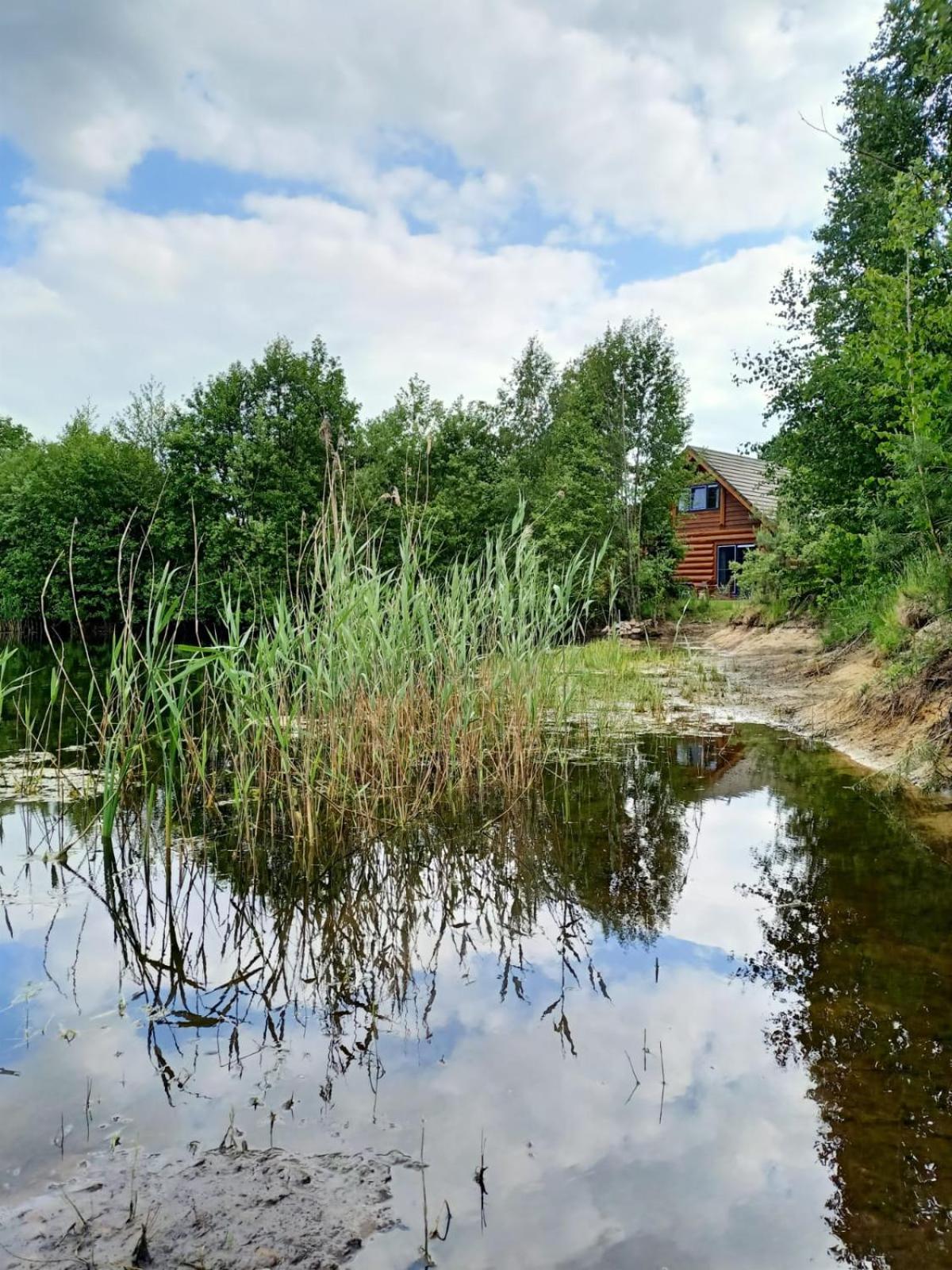 Unieke Houten Villa Met Sauna In Twente - 6P Den Ham Екстер'єр фото